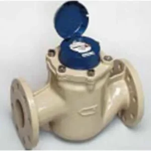 ITRON FLOWMETER WOLMAG M 60/65mm (2-1/ 2")